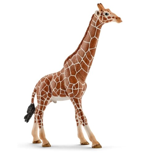 Giraffe (Male) image