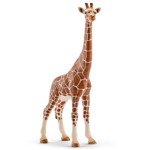 Giraffe (Female)
