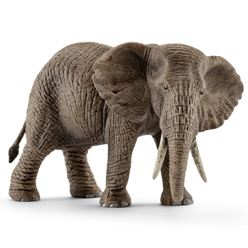 African Elephant (Female)