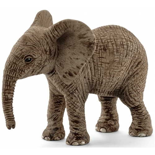 African Elephant (Calf) image