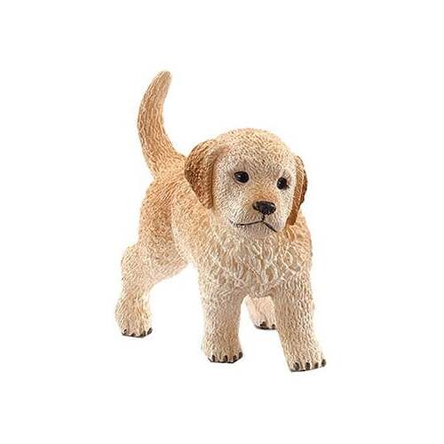 Golden Retriever Puppy image