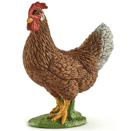 Hen image