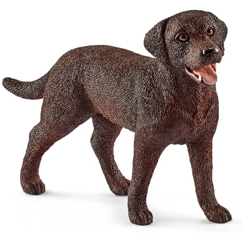 Labrador Retriever Female image