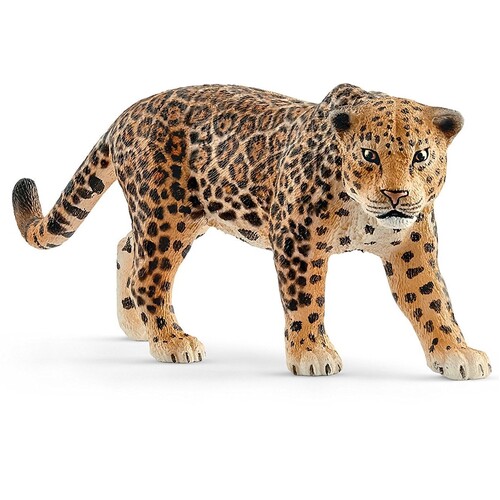 Jaguar image