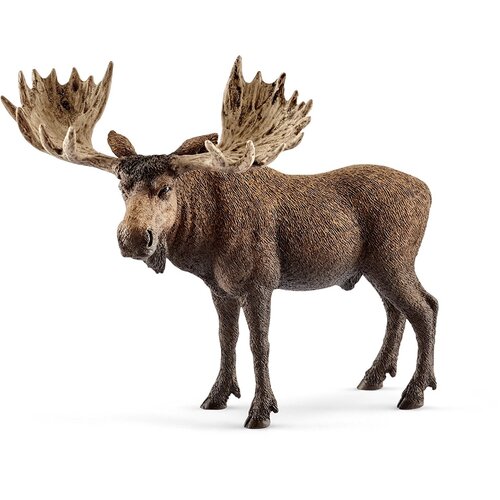 Moose Bull image