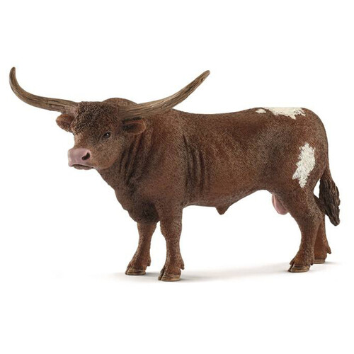 Texas Longhorn Bull 