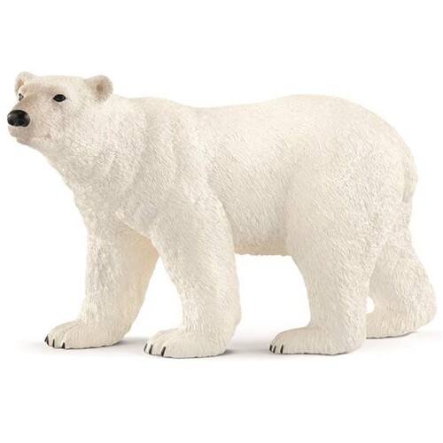 Polar Bear image