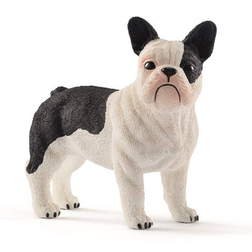 French Bulldog image