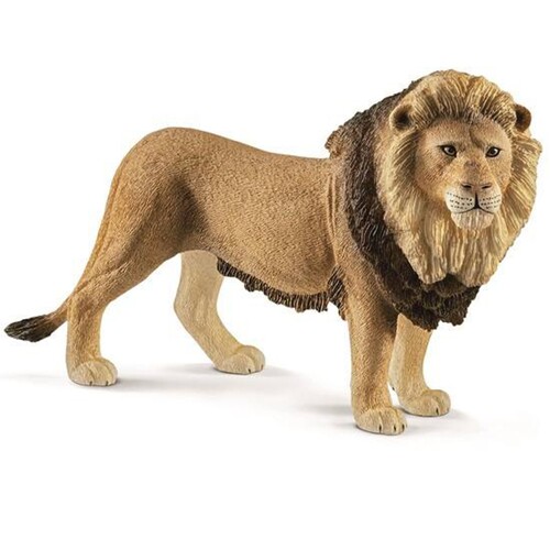 Lion image