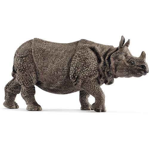  Indian Rhinoceros image