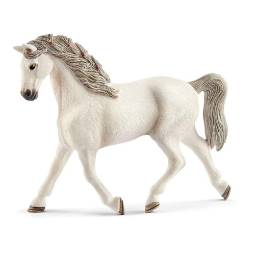 Holsteiner Mare image