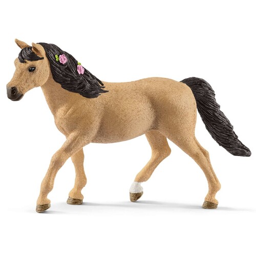 Connemara Pony Mare image