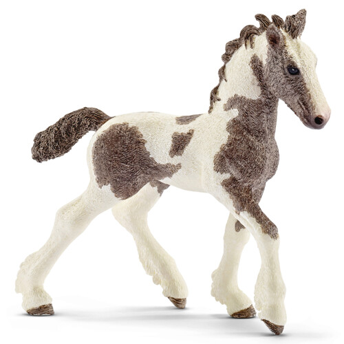 Tinker Foal  image