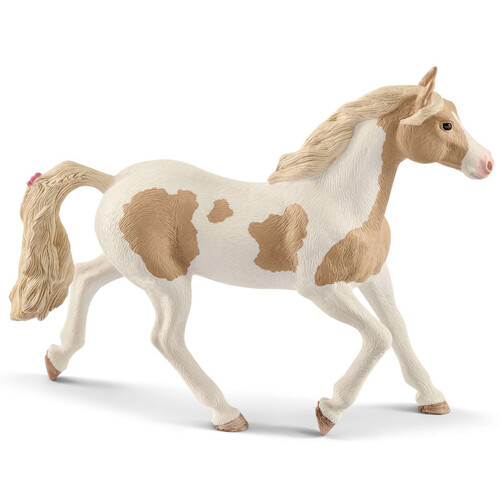 Paint Horse Mare image