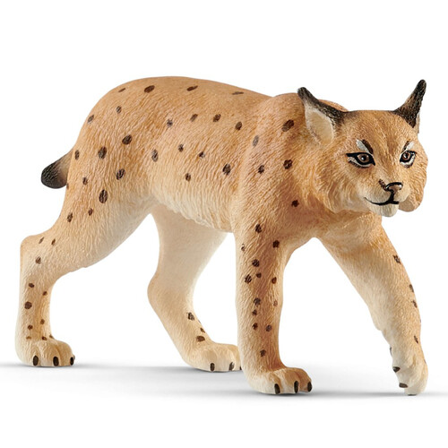Lynx image