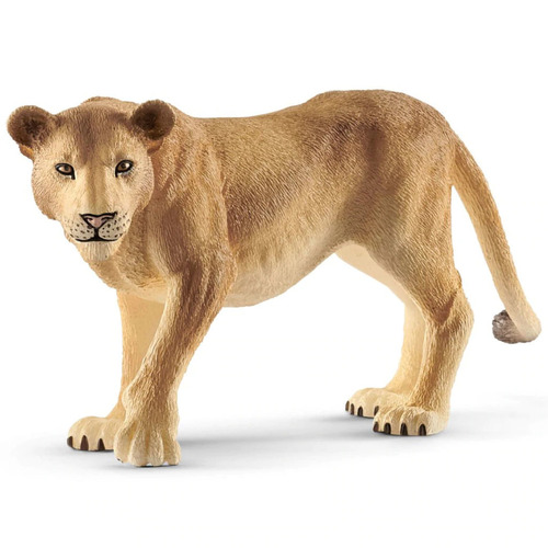 Lioness image