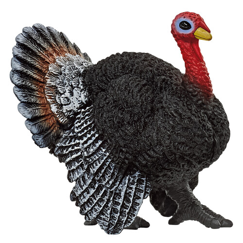 Turkey image