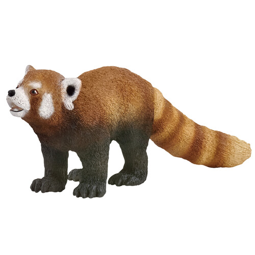 Red Panda image