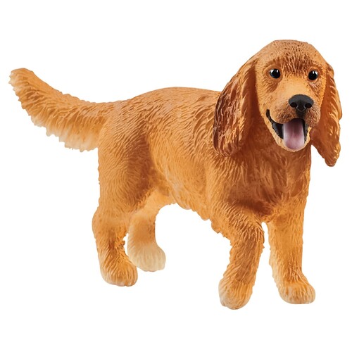  English Cocker Spaniel image
