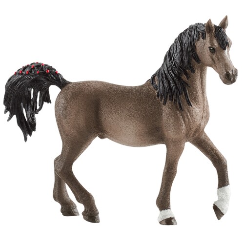 Arabian Stallion image