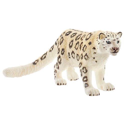 Snow Leopard image