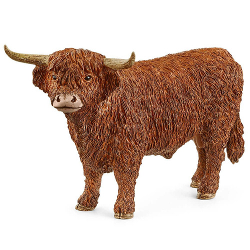 Highland Bull image
