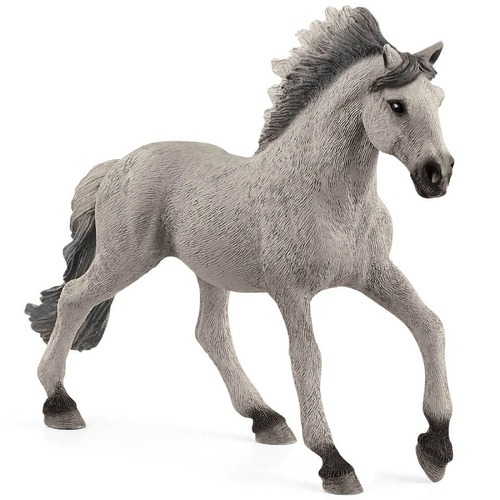 Sorraia Mustang Stallion image