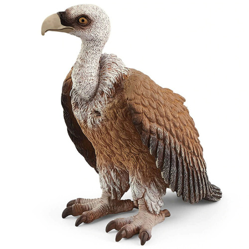Vulture image
