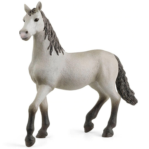 Pura Raza Española Young Horse image