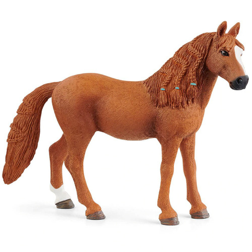 German Riding Pony Mare image