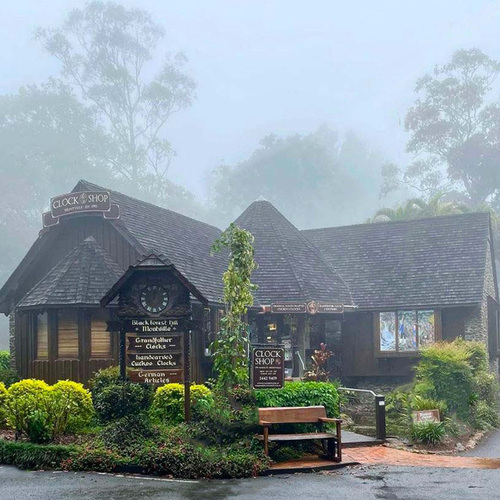 Montville- A Hidden Gem in the Sunshine Coast Hinterland