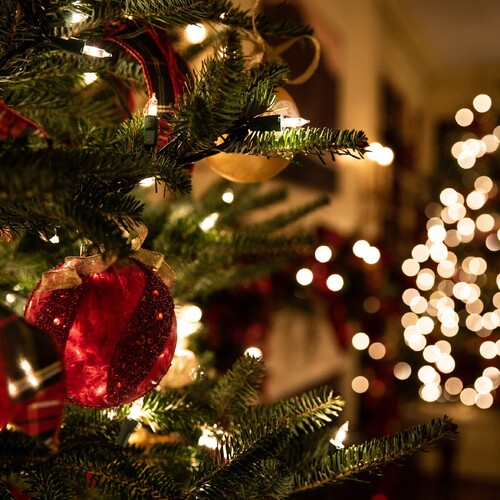 Christmas Trends For 2022